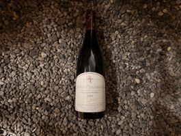 Rotwein Gevrey-Chambertin Vieilles Vignes 2008