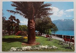 Locarno - Il lungolago