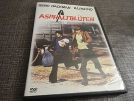 Asphaltblüten DVD