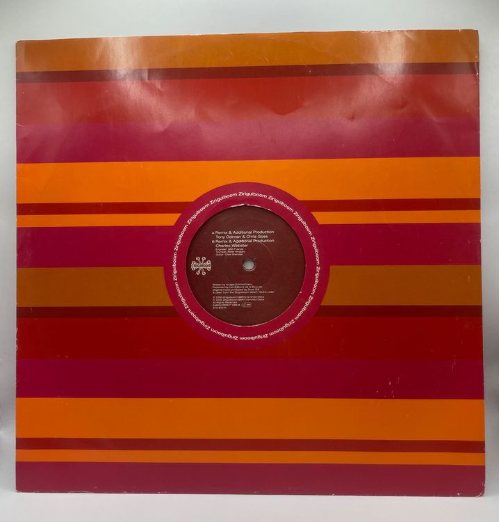 Vinyl Mix Bundle – House & Classic LP Sampler (Gebraucht) in Bubikon ...
