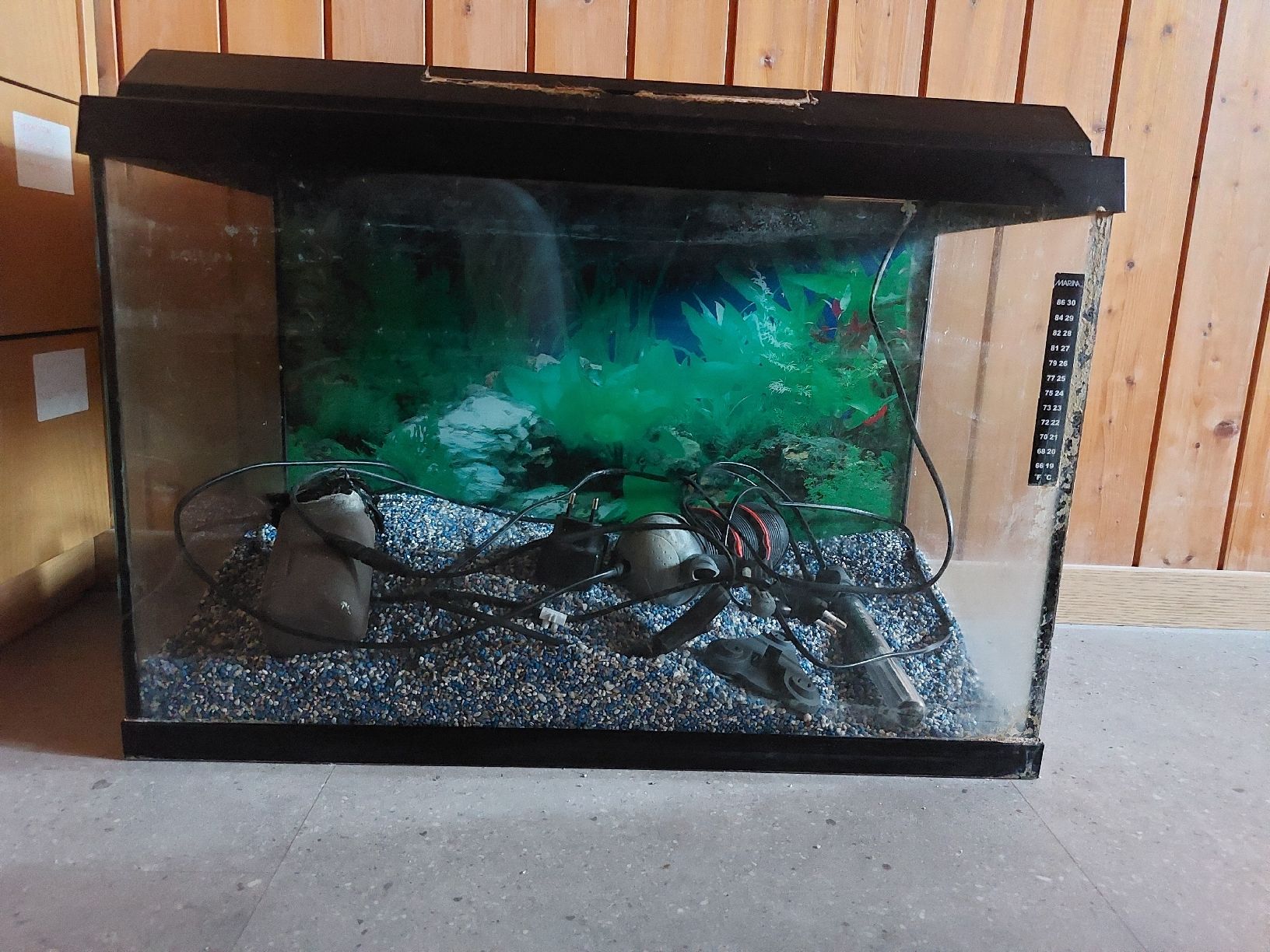 Acquari: Juwel Aquarium 70 Liter – Usato da Wattwil venduto da swissgirl6