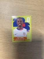 Panini FIFA WC USA 12