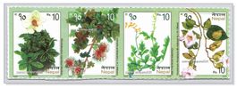 Nepal 2025 (11) Endemische Pflanzen Plantes endémiques Piant