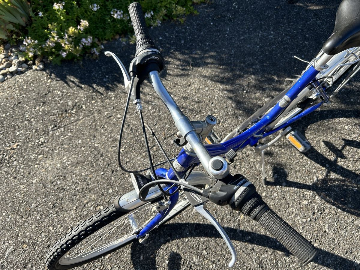 Biciclette: Damen Fahrrad – Usato da arch venduto da Amaga 1