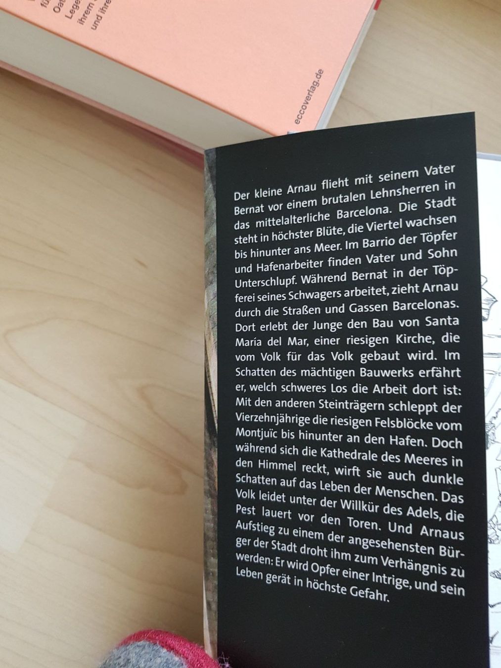 Bücher: Die Kathedrale des Meeres – Neu (gemäss Beschreibung) aus Winterthur von Bucheule 1