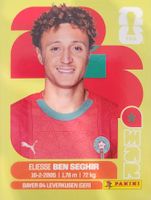Panini FIFA World Cup MAR 12