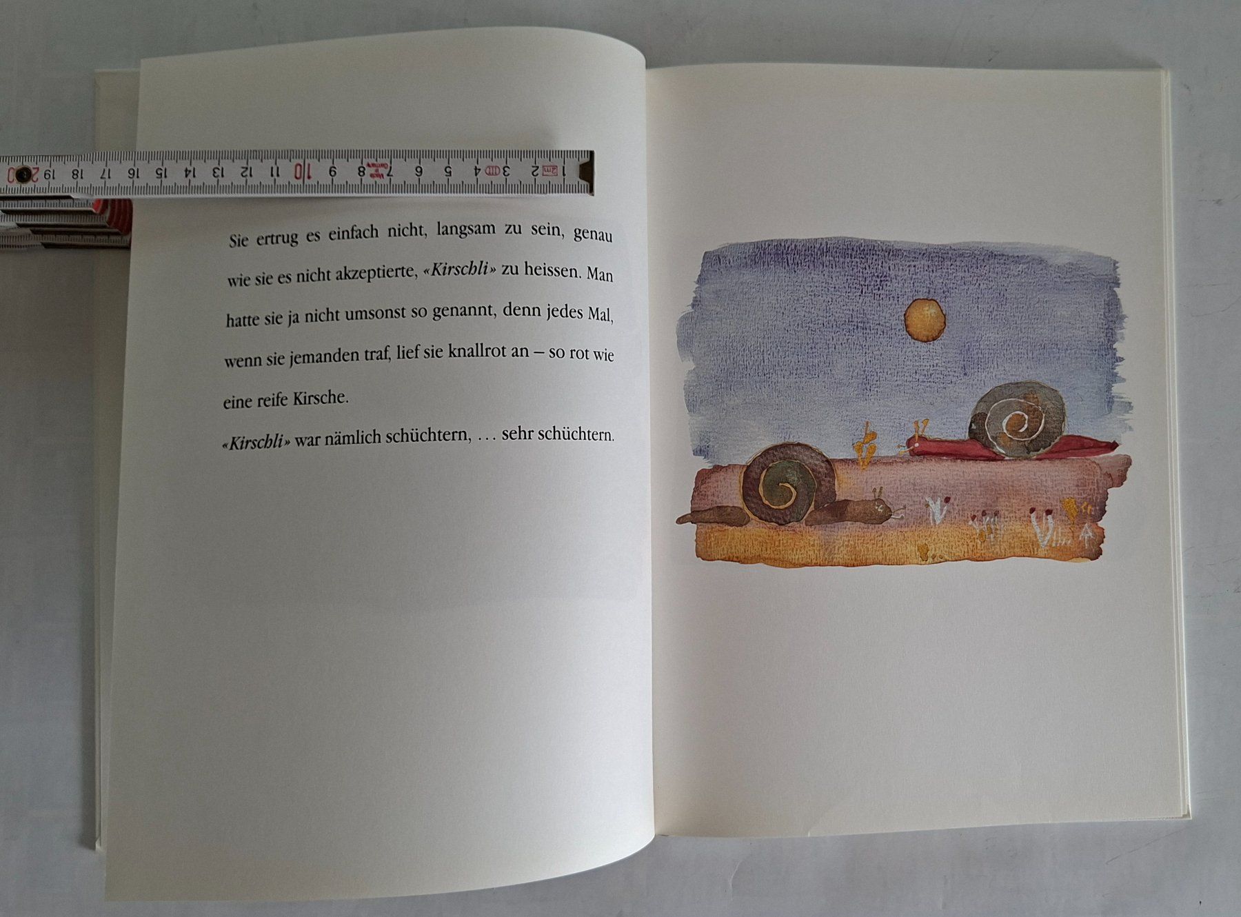 Libri: Kirschli, die kleine Schnecke - Kinderbuch – Usato da Opfikon venduto da Diversamente 3