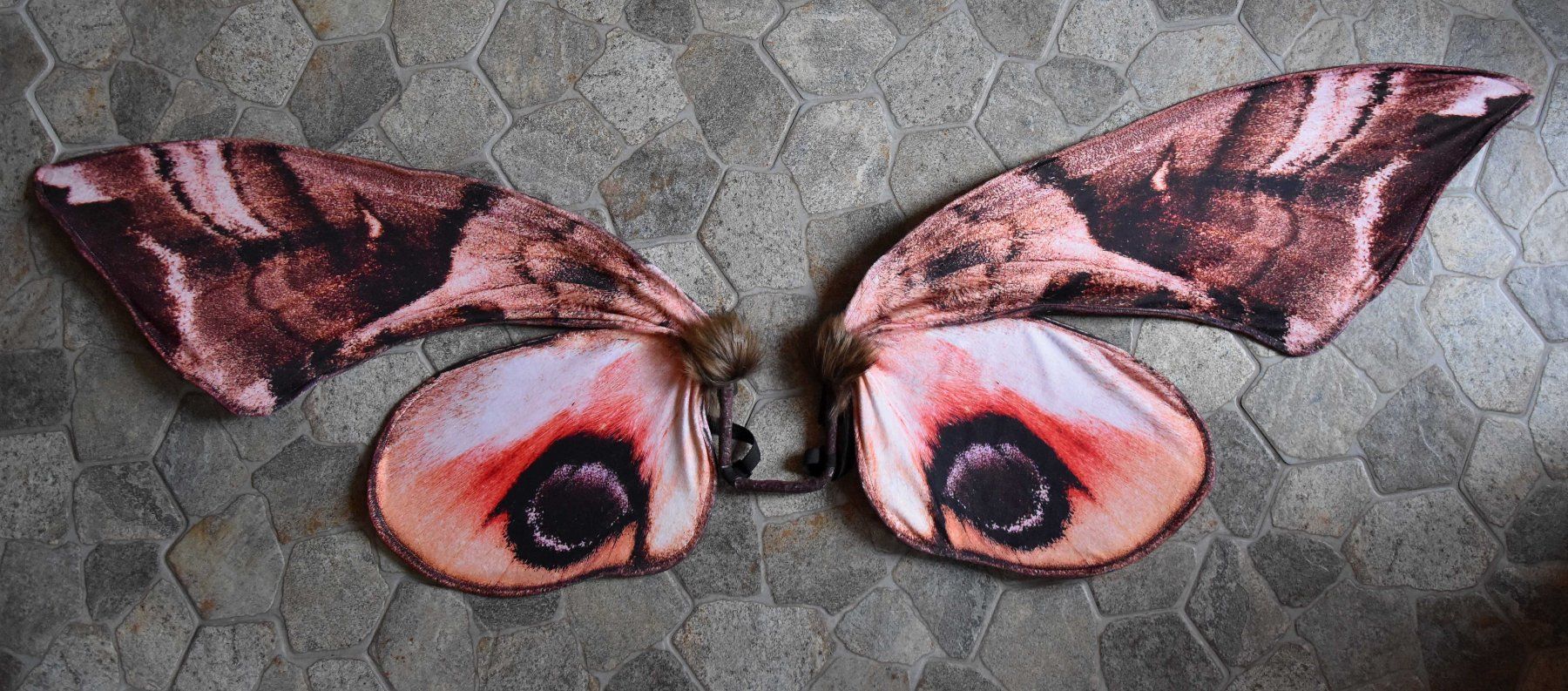 Kostüme: Ailes de Papillon de Nuit faite main – Neu (gemäss Beschreibung) aus Vaulion von sambigben 3