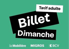 1-3 BILLETS / TICKETS / PALEO DIMANCHE 26.07. SONNTAG ADULTE