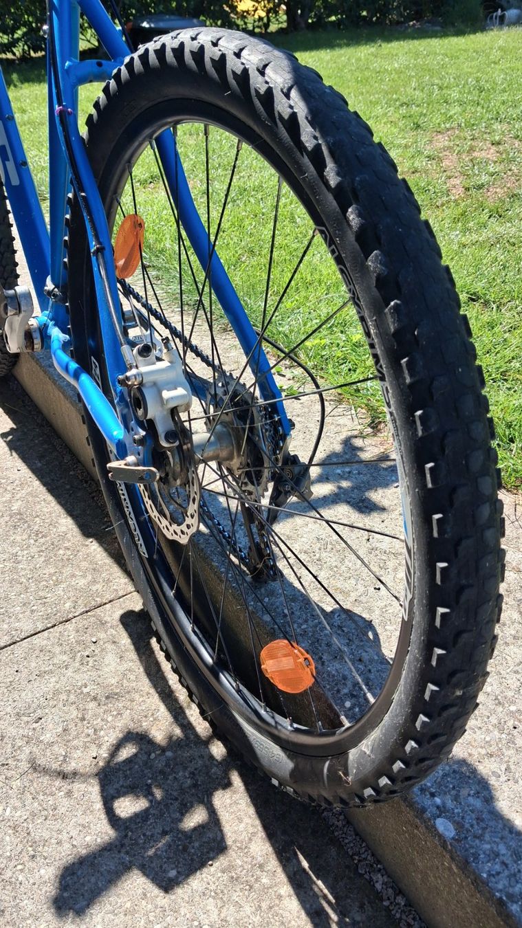 Bixs Biciclette: Mountainbike BIXS, blau – Usato da Rorbas venduto da siramad 3