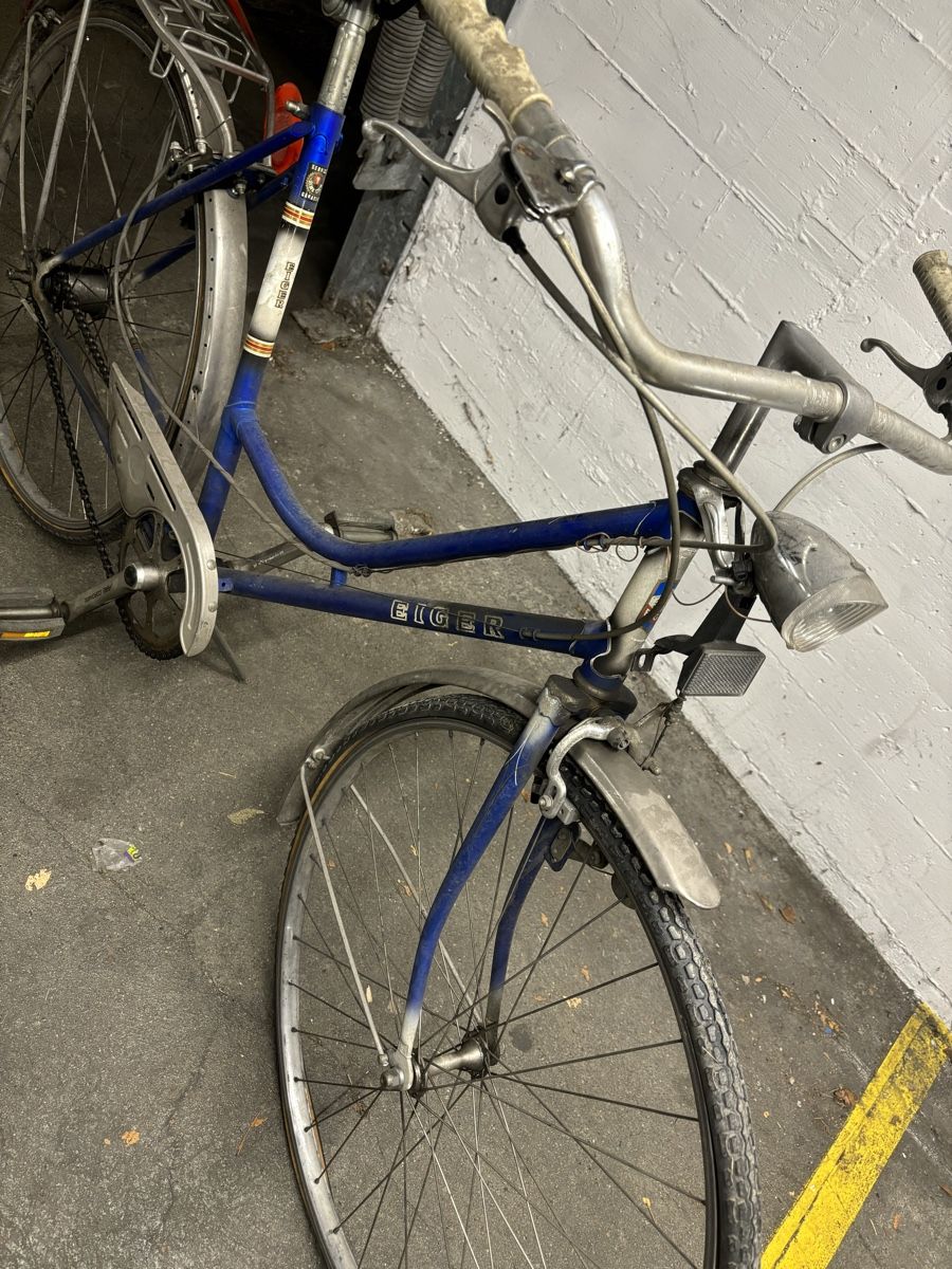 Biciclette: Vintage Eiger Damen Velo – Difettoso da Ostermundigen venduto da Mcone 4