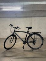 Crosswave Citybike Steelrider