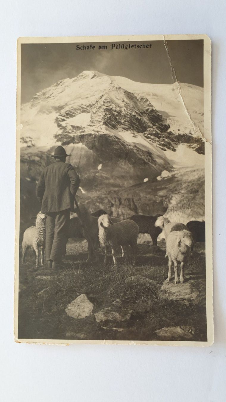 Cartoline postali: Bernina. Palü. Oberengadin. Graubünden. 3 Ansichtskarten. – Usato da Goldach venduto da armando_r 6