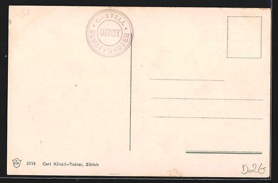 Cartoline postali: Schaffhausen, Ortspanorama mit Brücke u – Usato da Berlin venduto da bartko-reher 1