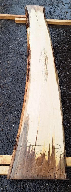Articoli in legno: Nussbaumbrett 50mm – Nuovo (secondo la descrizione) da Waldkirch venduto da bauprofi87 1
