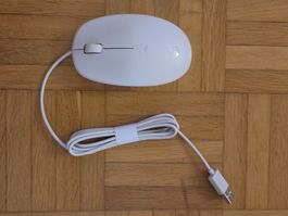 HP Maus