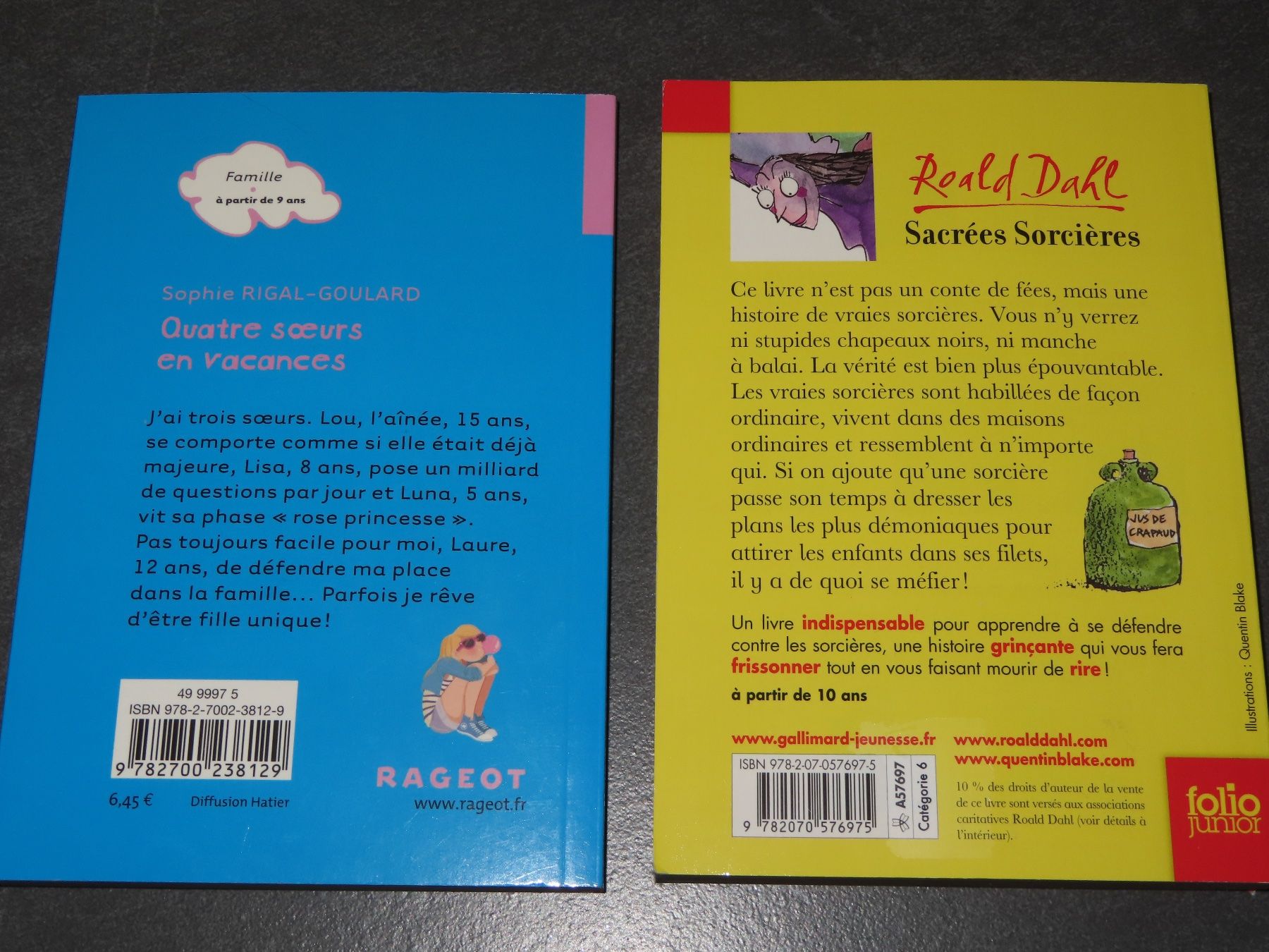 Libri: 2 livres à partir de 10ans ***NEUFS*** – Nuovo (secondo la descrizione) da Wallenried venduto da Asyano 1