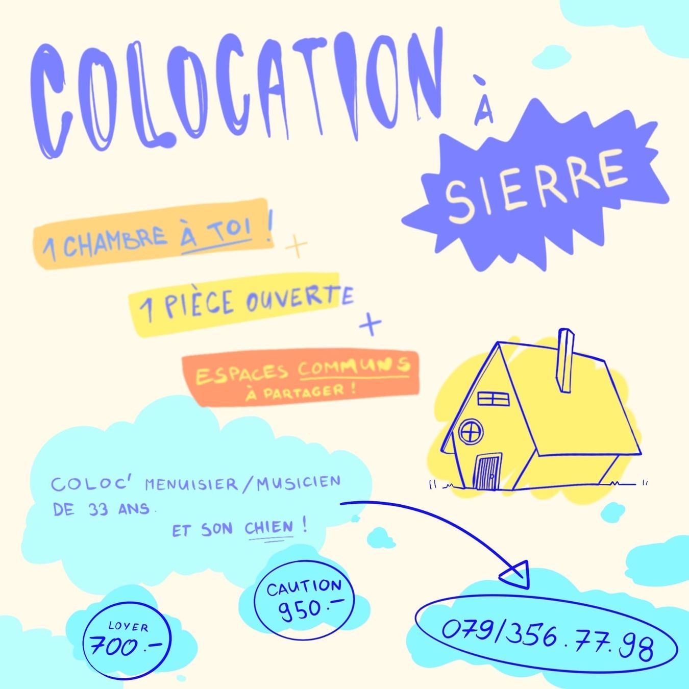 Altro per la casa: Colocation Sierre – Usato da Haute-Nendaz venduto da lucas.depreux
