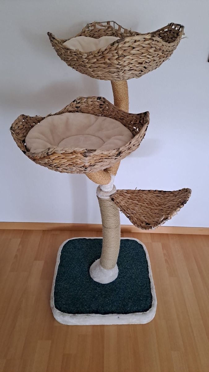 Arbres à chats: Katzenkratzbaum – D'occasion à Oberentfelden par 6sioux3