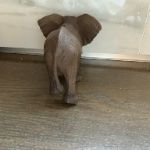 Schleich Statuette: Schleich asiatische Elefantenkuh 14654 – Usato da Richterswil venduto da irenemiz 2