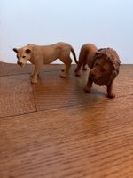 Löwin und Löwe von Schleich