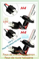 2x | Ampoules H4-2 Hi/lo 12V 55W 10000K pour kit xénon 55W
