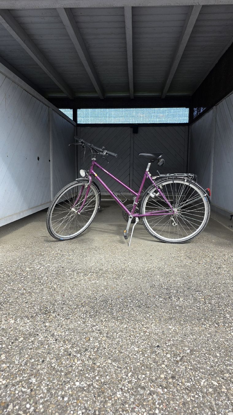 Cresta Biciclette: Damenvelo Cresta violett – Difettoso da Starrkirch-Wil venduto da charisma_85