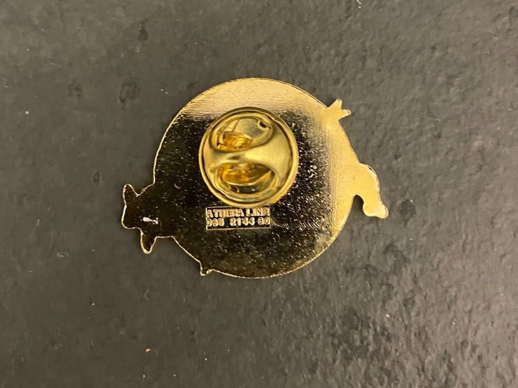 Placchette & Badge: Pin Jugendfest Erlinsbach 1994 – Nuovo e nell'imballaggio originale da Erlinsbach venduto da Michel2006 1