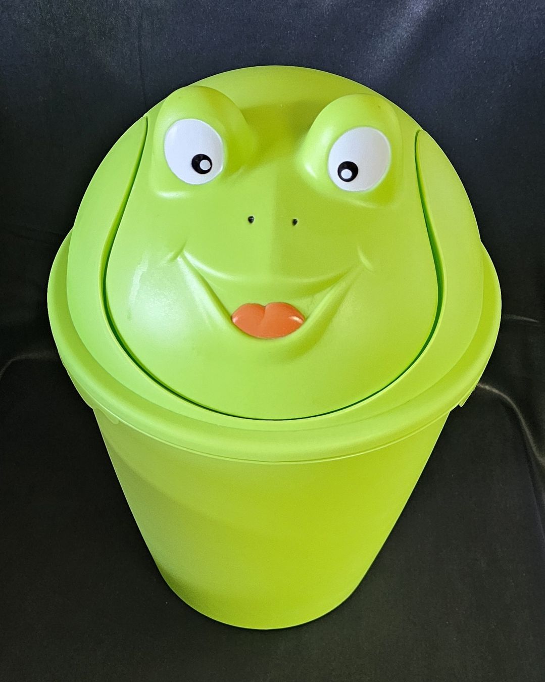 Altro per la casa: Abfalleimer Frosch Design Kinder Eimer  grün, 6 l – Usato da Wangen b. Olten venduto da ErikaK06