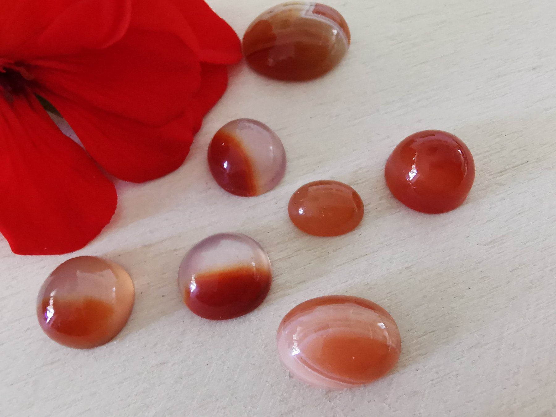 Mineralien & Heilsteine: 7 Stk. diverse Karneol Cabochon / Lager-Sondererkauf – Neu (gemäss Beschreibung) aus Dierikon von Buntspecht-10 3