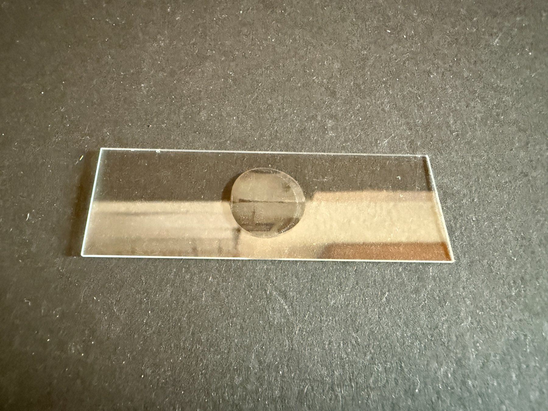 Bastelsets: Objektträger 76x26 mm, mit Vertiefung, neu – Neu und originalverpackt aus Lützelflüh-Goldb von Elementis