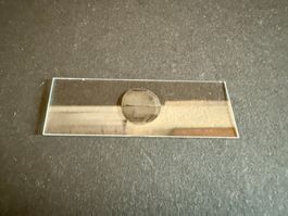 Objektträger 76x26 mm, mit Vertiefung, neu