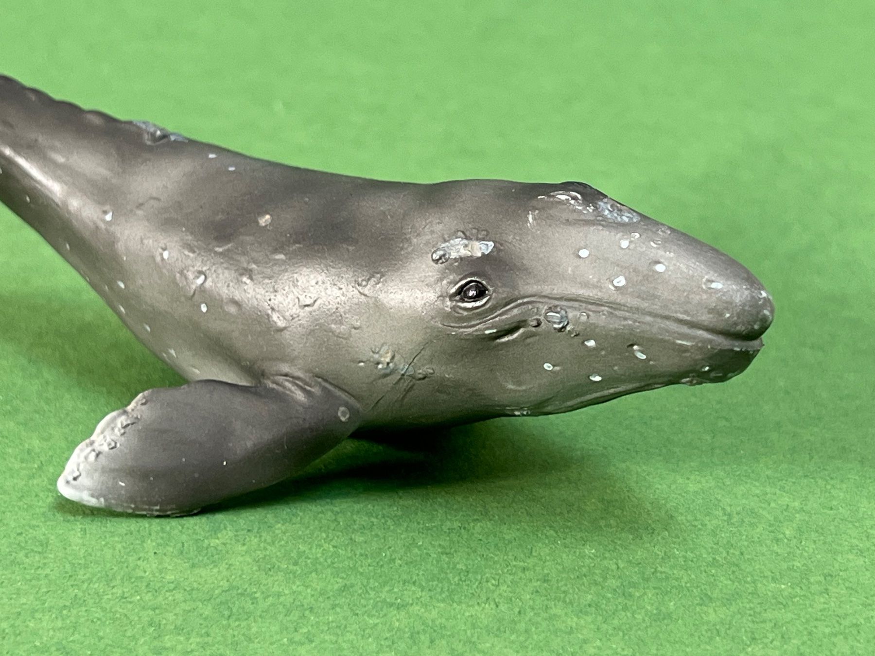 Schleich Statuette: Schleich 16094 Grauwalkalb Grauwal Kalb Wassertier Meer – Usato da Ennetbaden venduto da mapa05 3