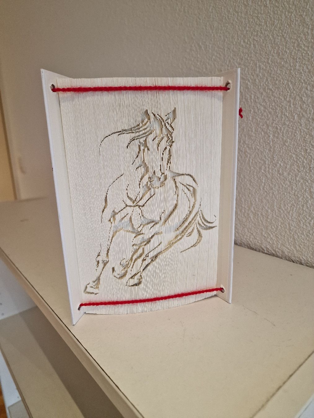 Toutes les décorations: Buchkunst als Geschenkidee – D'occasion à Gunzgen par superdancer67