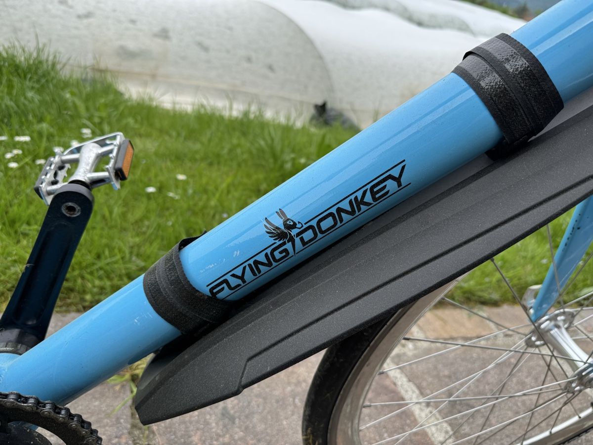 Biciclette: Flying Donkey singlespeed Pedelec E Bike – Difettoso da Strengelbach venduto da tartaruga87 1