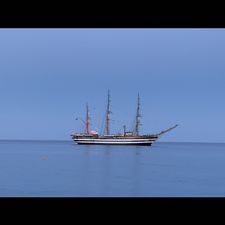 Profile image of Cypress1