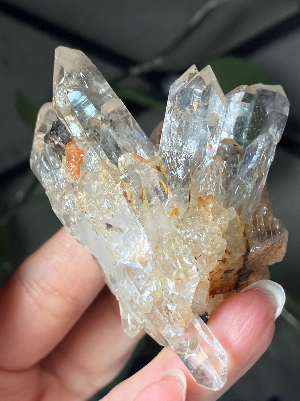 Minerali & Pietre curative: Klarer Quarz Cluster – Nuovo (secondo la descrizione) da Neuheim venduto da m.hald 6