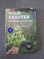 Wildkräuterbuch: Wildkräuter am Blatt erkennen