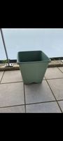 Pflanzentopf neu grün