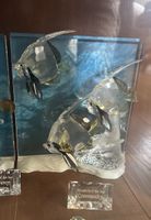 Swarovski SCS Jahresausgabe