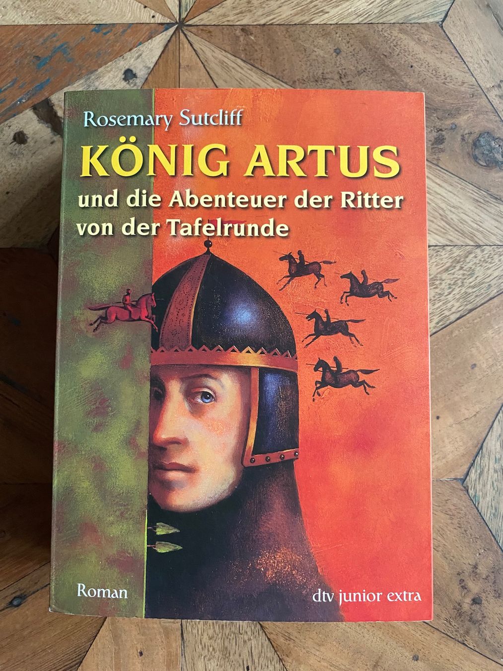 Libri: König Artus - Roman dtv junior extra – Usato da Stadel b. Niederglatt venduto da sandart