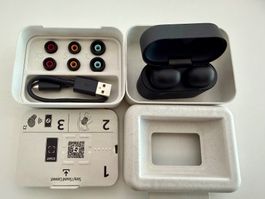 Sony WF-1000XM6
