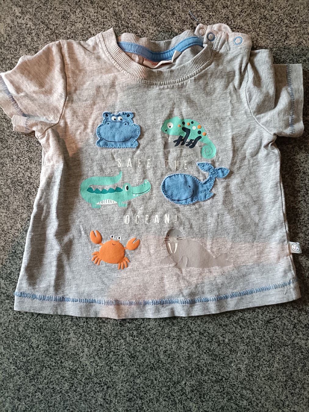Hemden, Tops & T-Shirts: T Shirt Gr. 74 – Gebraucht aus Tenniken von Pasci1990