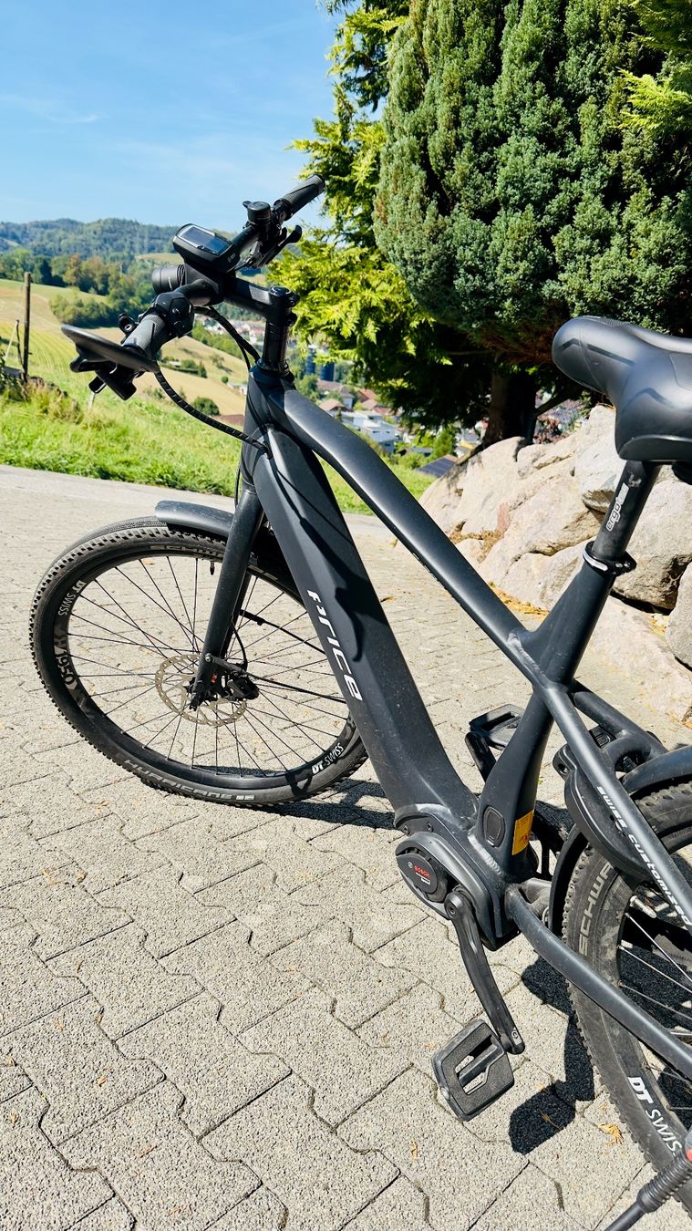 Price Biciclette: Velo Price E-Speed 45Kmh Bosch – Usato da uerkheim venduto da smundy 1