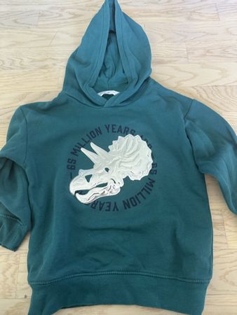 H&M Hoodie, Dinosaurier Motiv, Grösse 110/116
