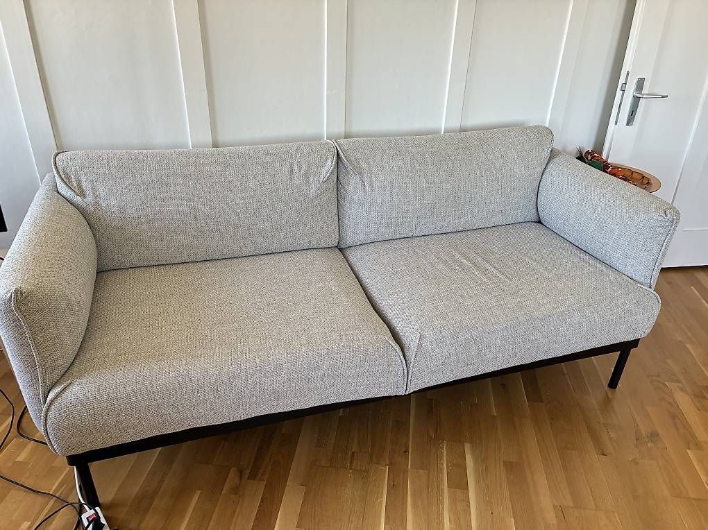 Ikea Divani: ÄPPLARYD 2er Sofa grau – Usato da Zürich venduto da roth.m 1