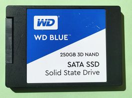 SSD WD Blue 3D NAND 250 Go