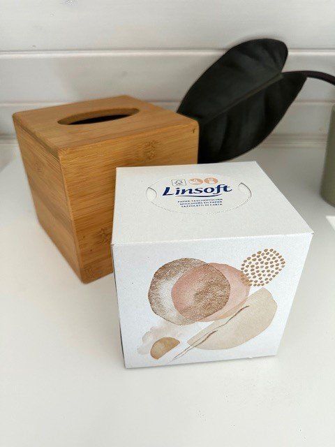 Autres décorations & accessoires: sChöNe HoLz TiSSue BoX – D'occasion à Winkel par zeho