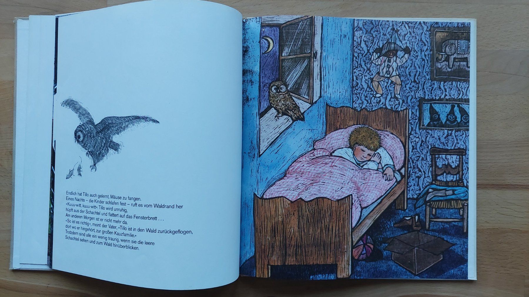 Libri: Tillo - Beatrix Schären (1972) – Usato da Obfelden venduto da Foto_Bild_Kunst_Buch 7