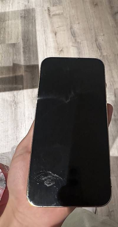 Telefoni cellulari / Smartphones: Iphone 13 Pro Max gold 256 GB  – Usato da Bargen SH venduto da jer_z75w 1